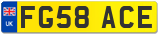 FG58 ACE
