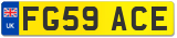 FG59 ACE