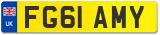 FG61 AMY