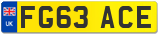 FG63 ACE