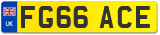 FG66 ACE