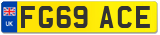 FG69 ACE