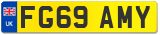 FG69 AMY