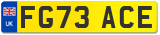 FG73 ACE