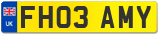 FH03 AMY