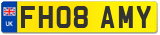 FH08 AMY