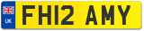 FH12 AMY
