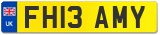 FH13 AMY