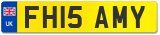 FH15 AMY