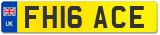 FH16 ACE