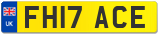 FH17 ACE