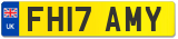 FH17 AMY