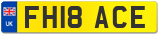 FH18 ACE