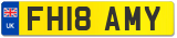 FH18 AMY