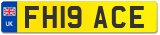 FH19 ACE