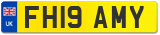 FH19 AMY