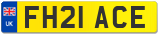 FH21 ACE