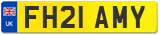 FH21 AMY