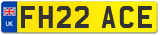 FH22 ACE