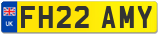 FH22 AMY