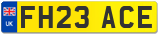 FH23 ACE