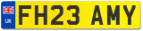 FH23 AMY