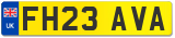 FH23 AVA