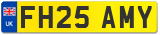 FH25 AMY