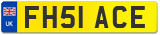 FH51 ACE