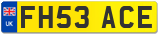 FH53 ACE