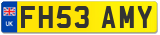FH53 AMY