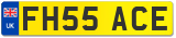 FH55 ACE