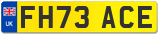 FH73 ACE