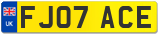 FJ07 ACE