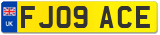 FJ09 ACE