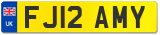 FJ12 AMY