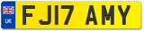 FJ17 AMY