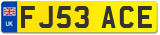 FJ53 ACE