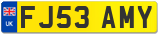 FJ53 AMY