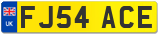 FJ54 ACE