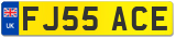 FJ55 ACE