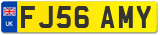 FJ56 AMY