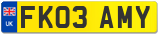 FK03 AMY
