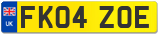 FK04 ZOE