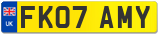 FK07 AMY