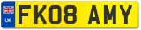 FK08 AMY
