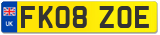 FK08 ZOE