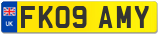 FK09 AMY
