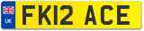 FK12 ACE