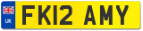 FK12 AMY